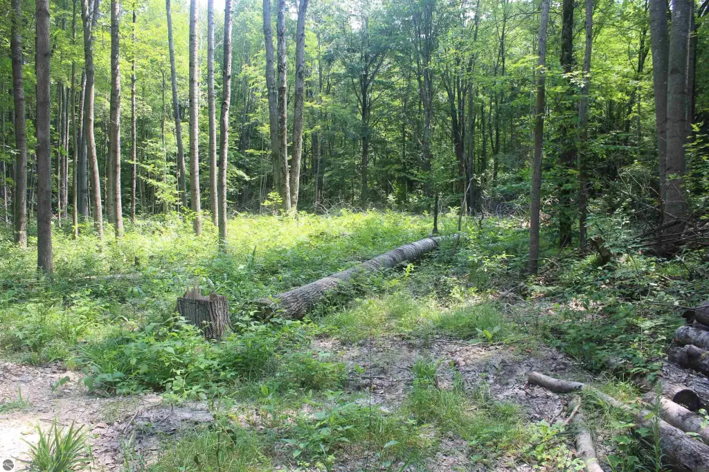 Picture 13