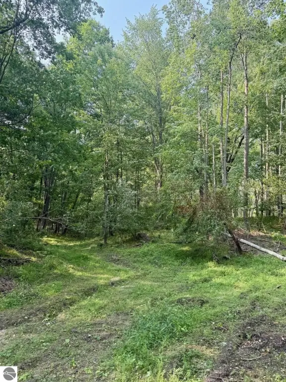 Picture 8