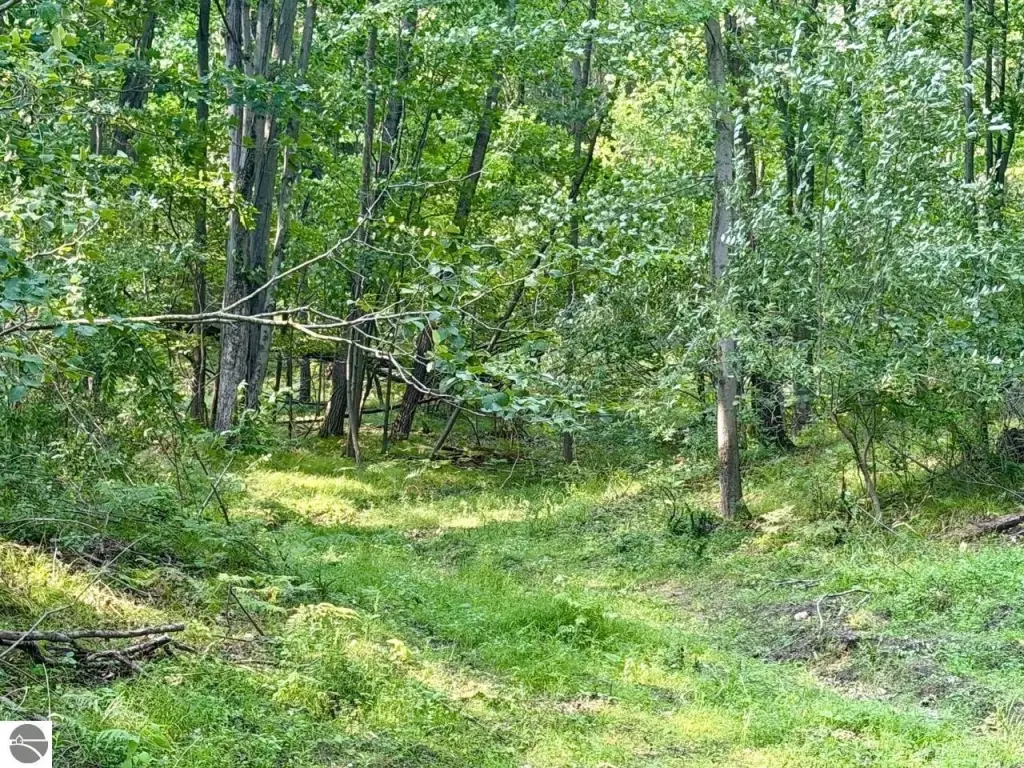 Picture 7