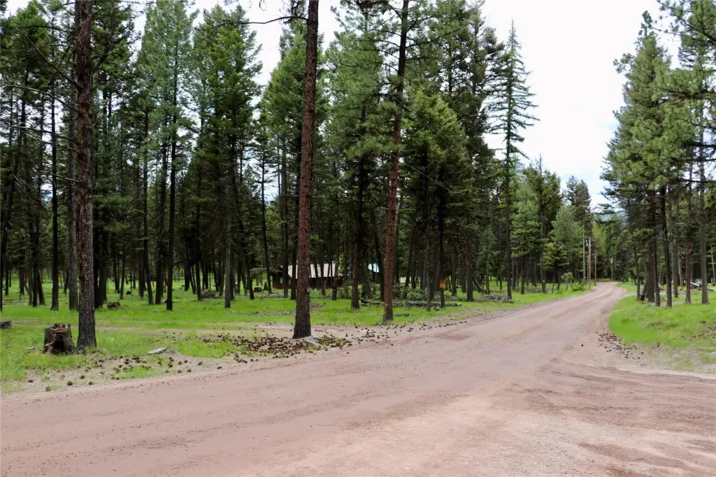Picture 23