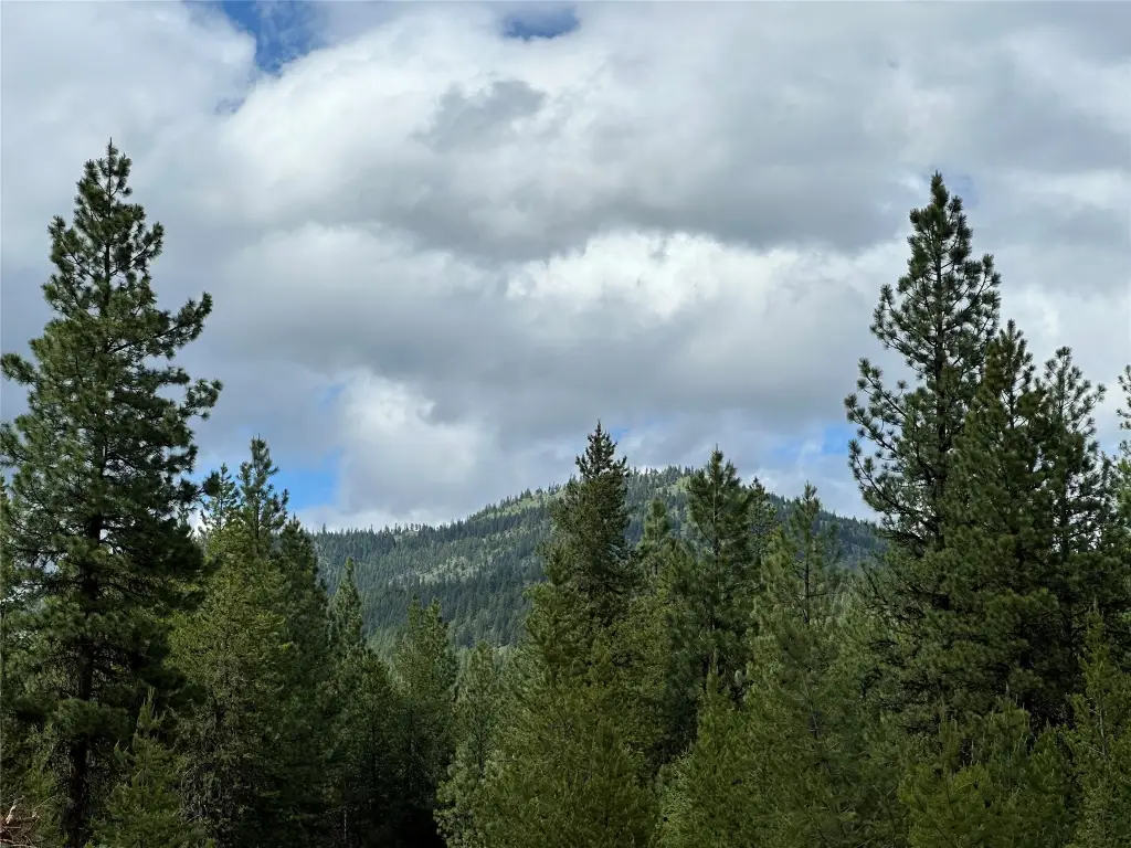 Picture 16