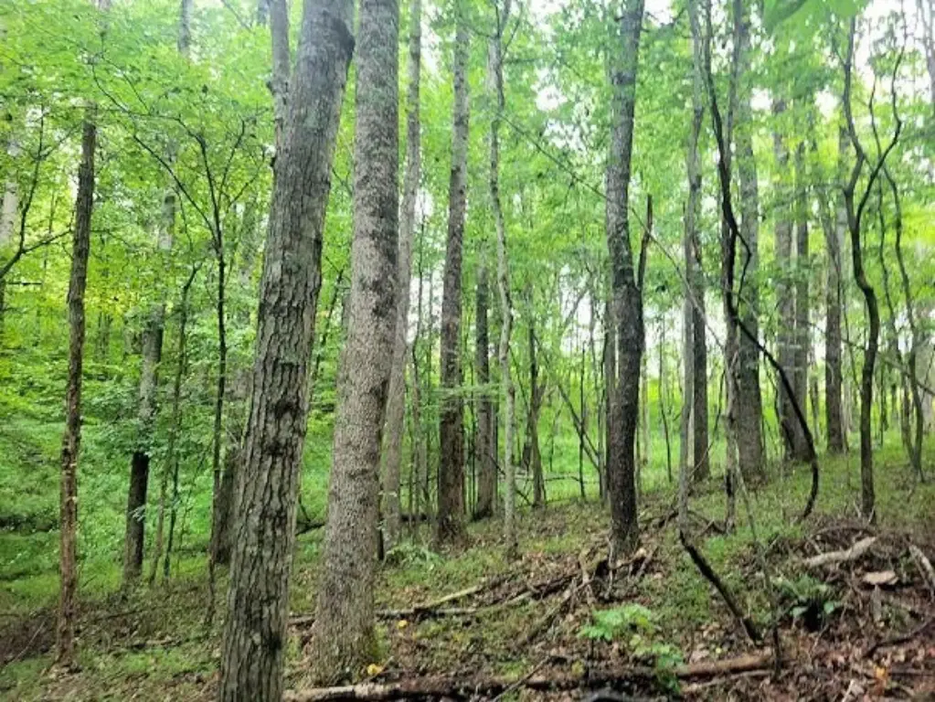 Picture 36