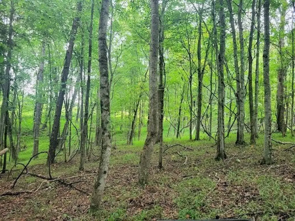 Picture 40