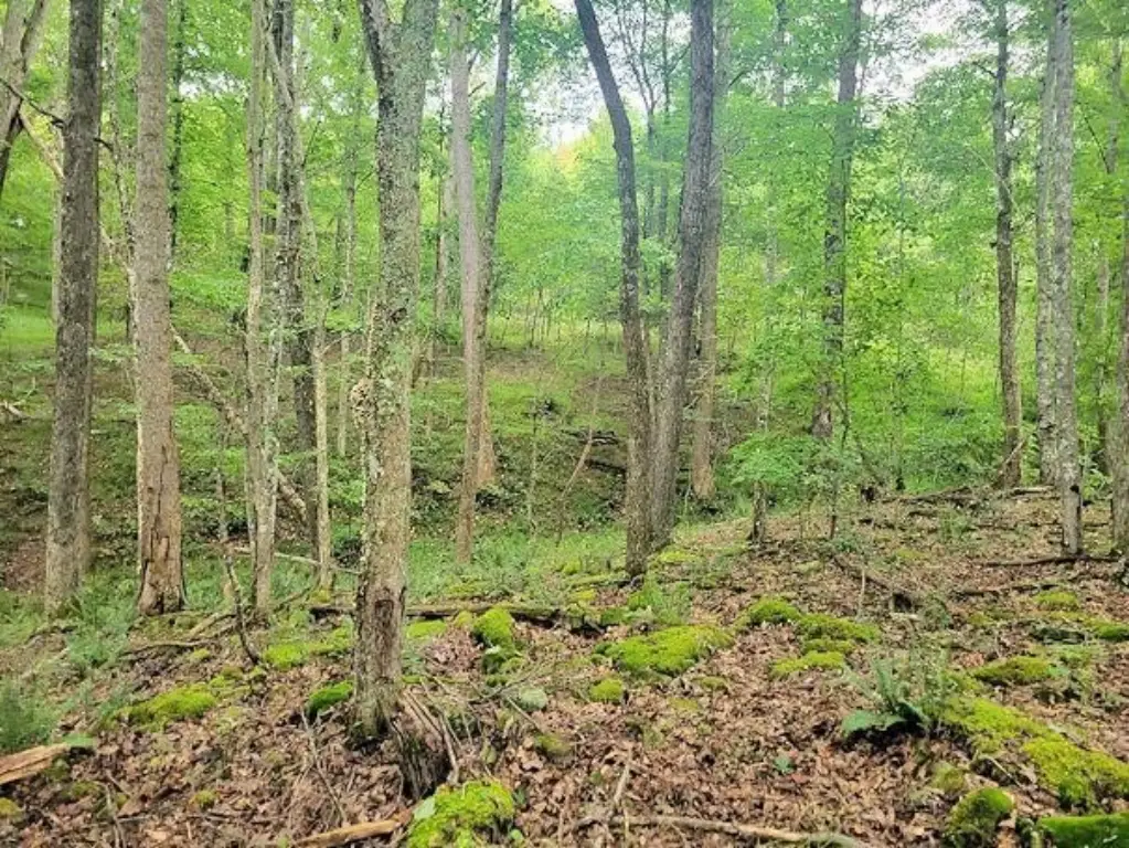 Picture 21