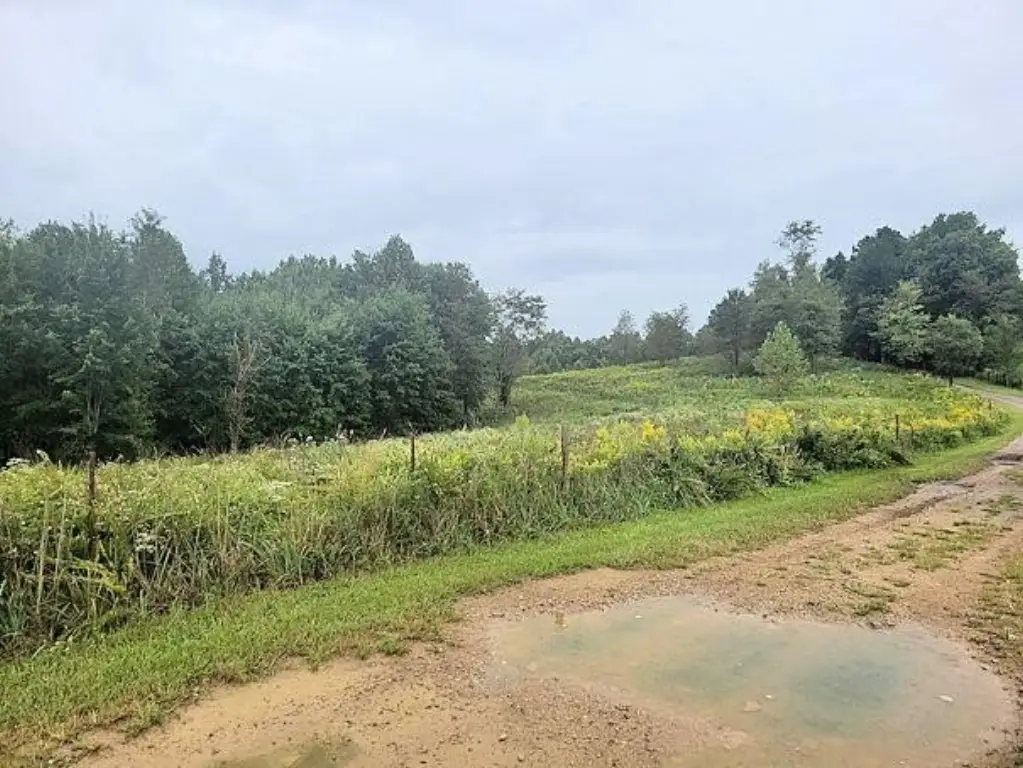 Picture 43