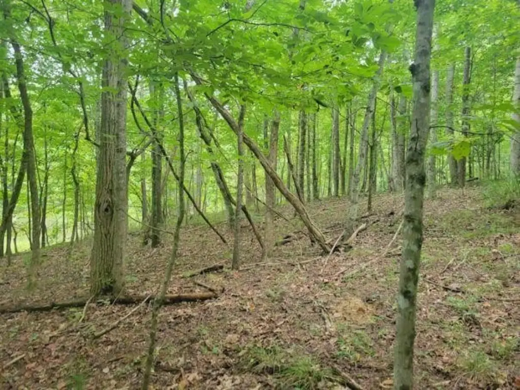 Picture 30