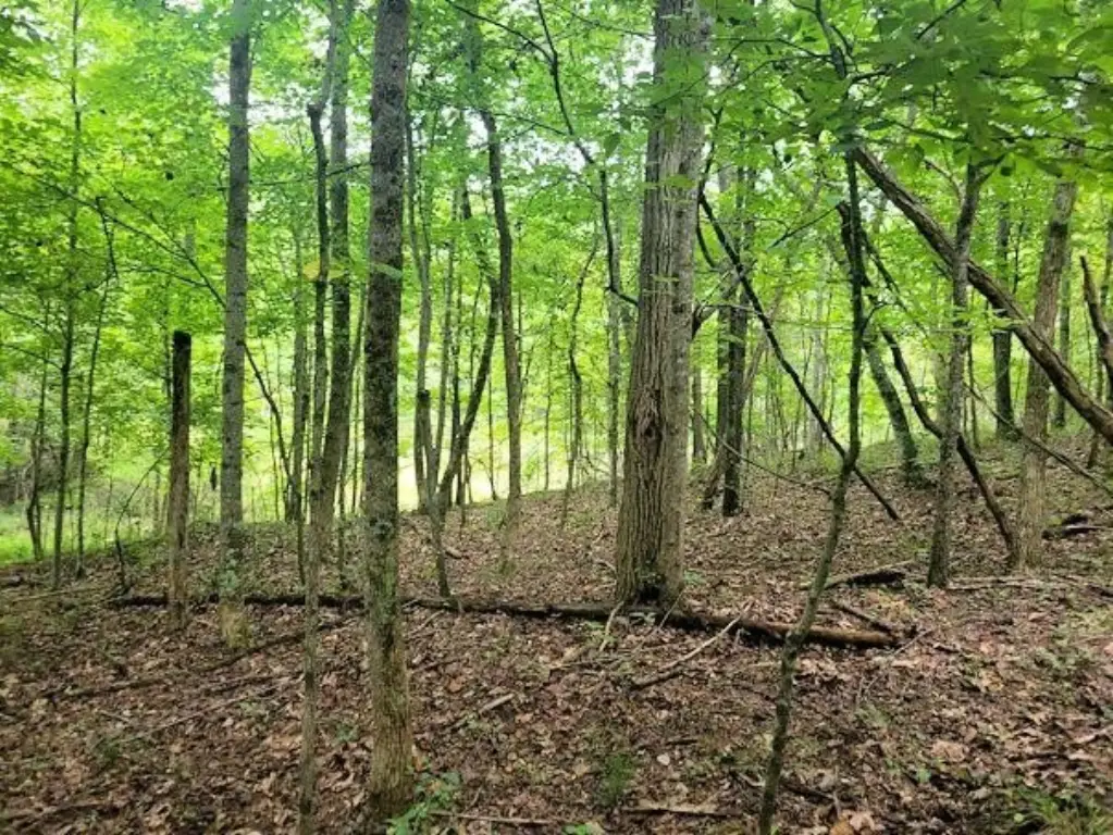 Picture 31