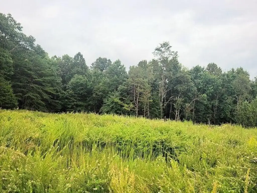 Picture 41