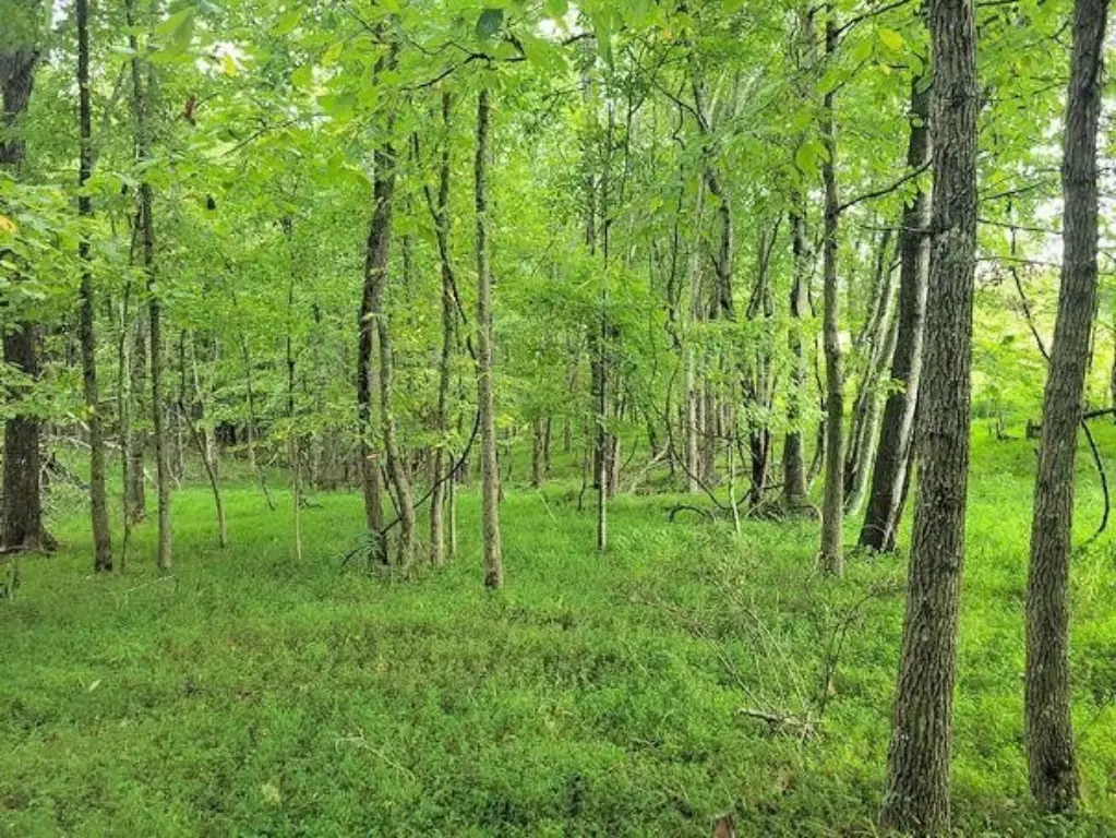 Picture 26