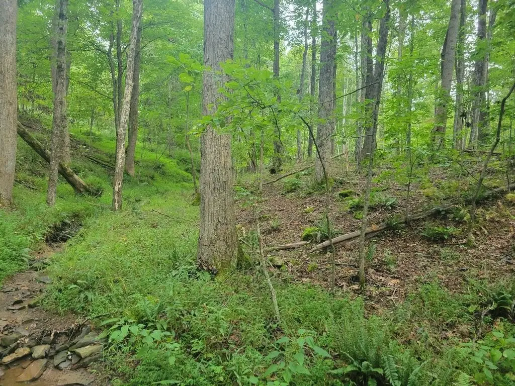 Picture 19