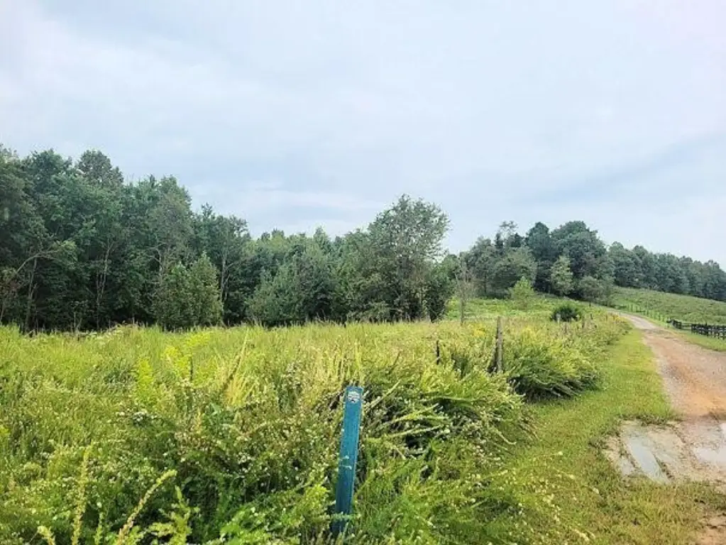 Picture 42