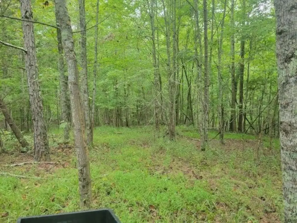 Picture 12
