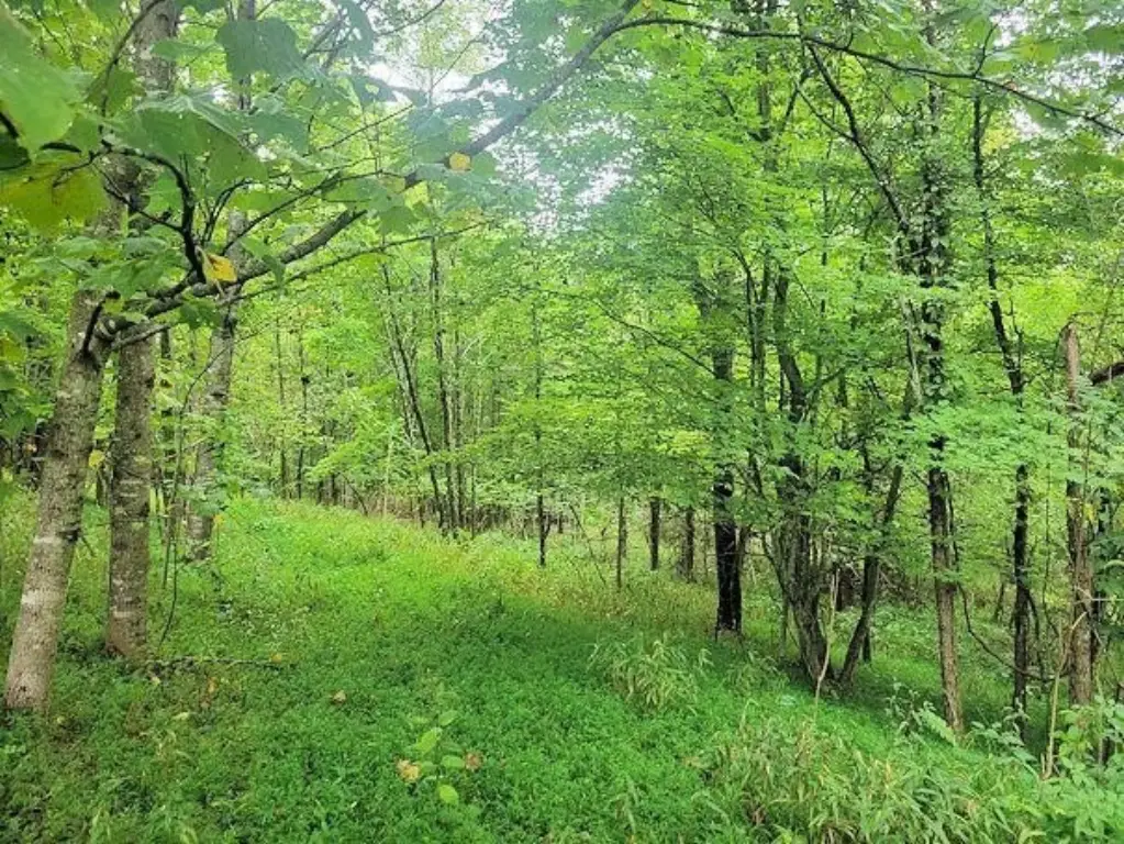 Picture 9