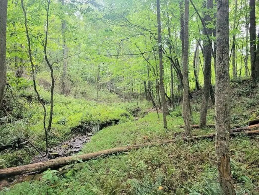 Picture 18