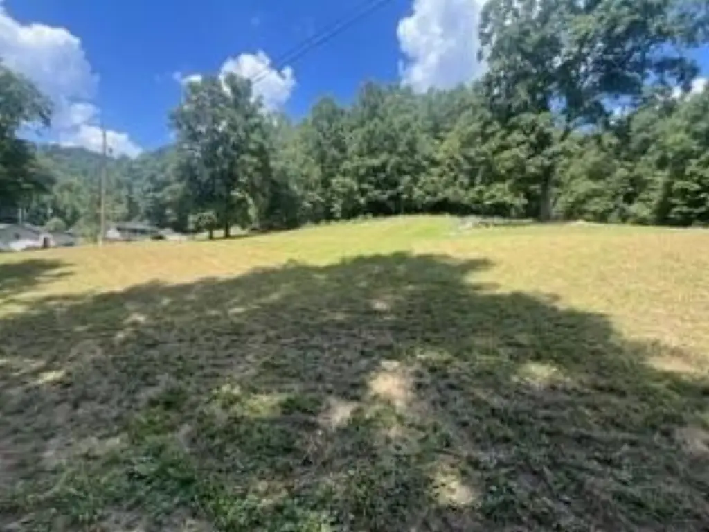 Picture 16