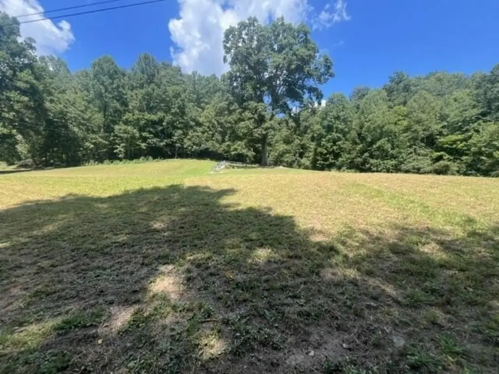 Picture 15