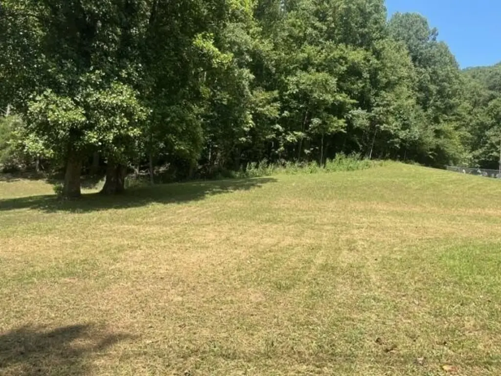Picture 7