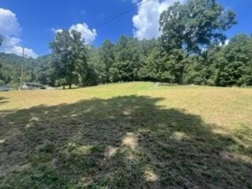 Picture 17