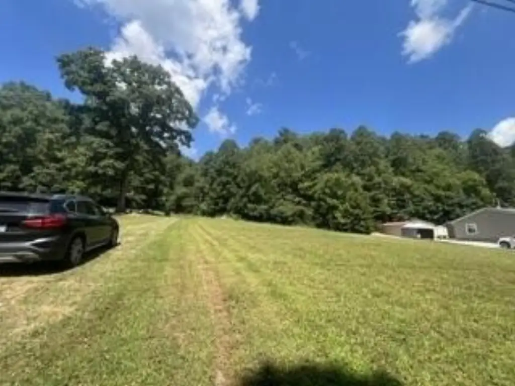 Picture 21