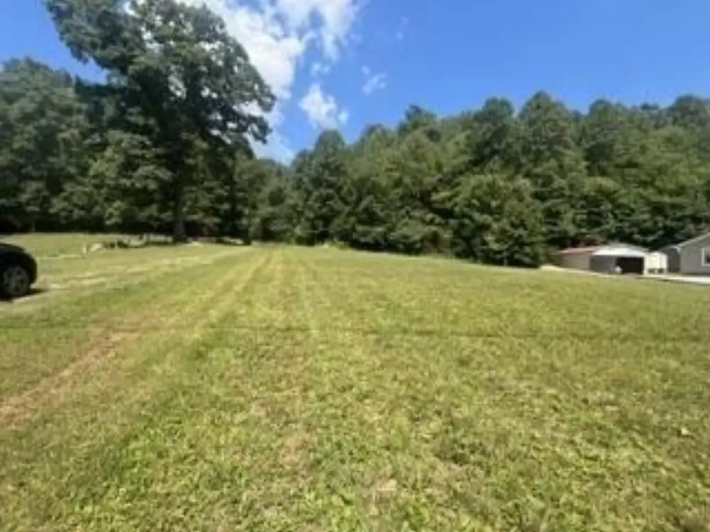 Picture 23