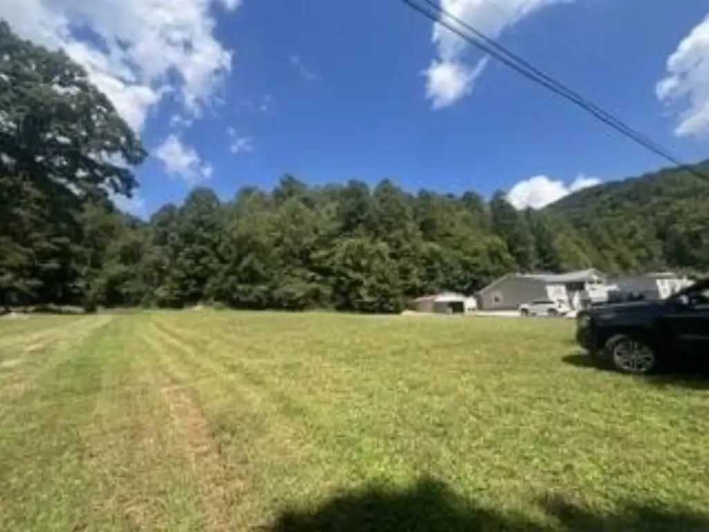 Picture 19