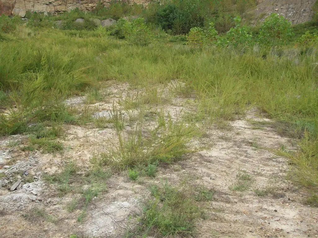 Picture 6