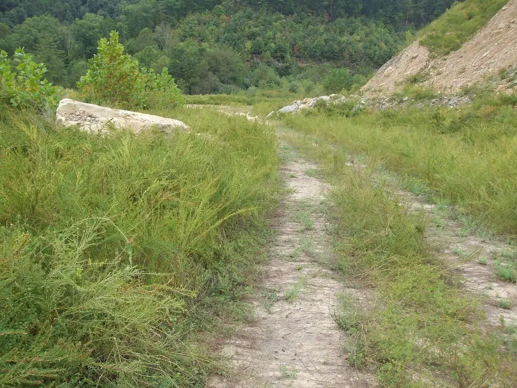 Picture 4