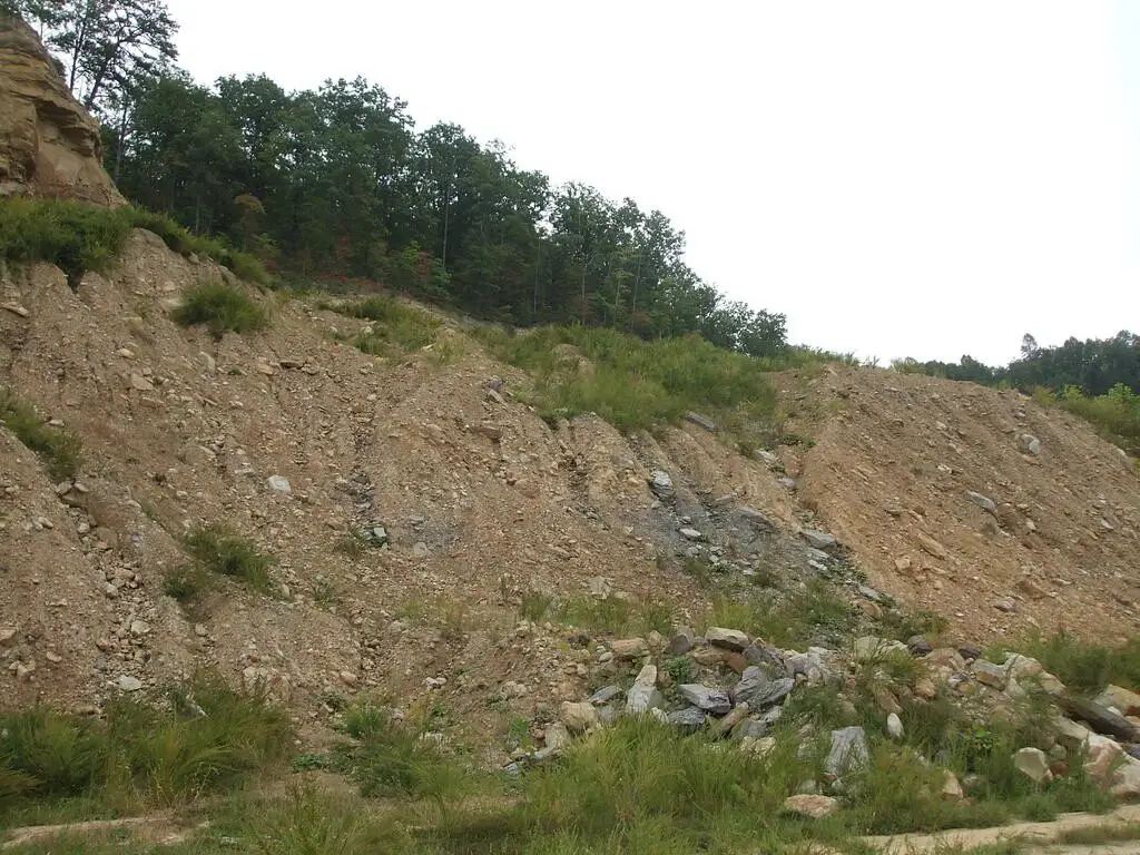Picture 11