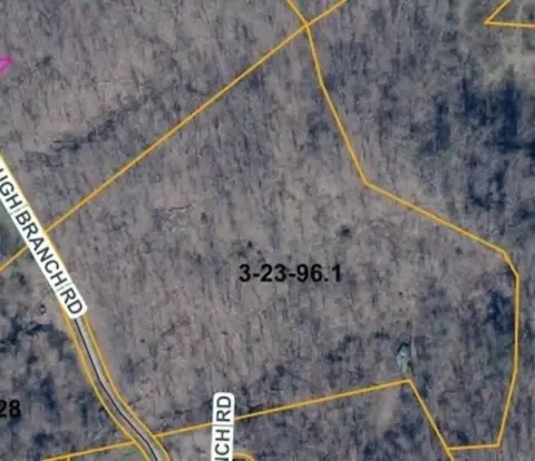 Wooded Land Near Barboursville