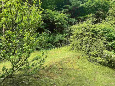 Elkview Acreage Near Charleston