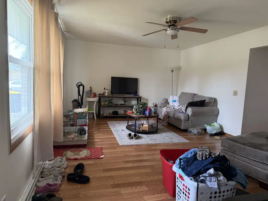 Picture 4