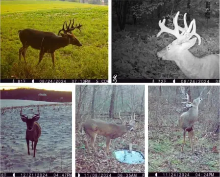 Hunting Land with Box Blinds