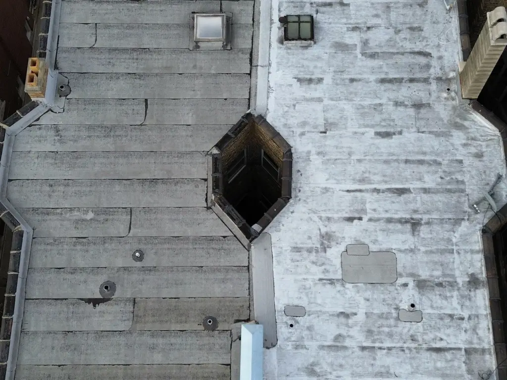Picture 8