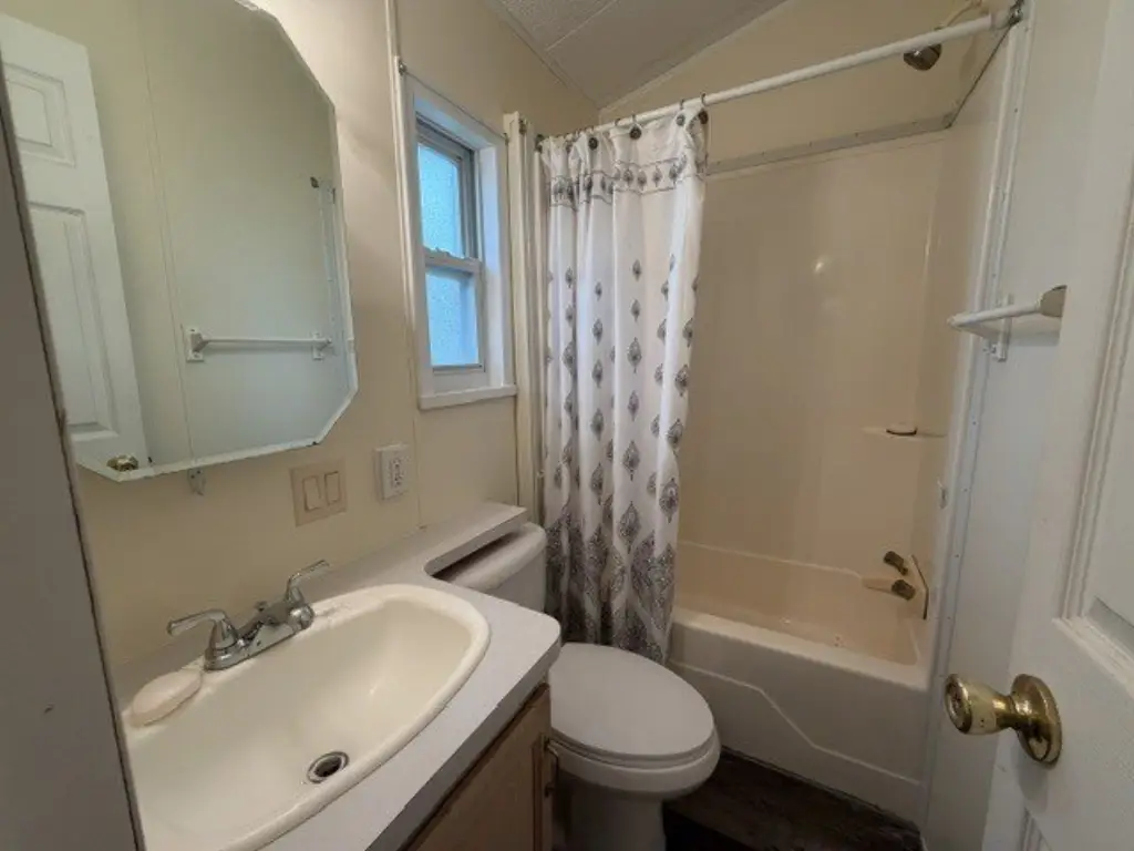 Picture 15