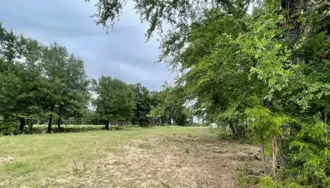 Donie, TX Acreage with Pond