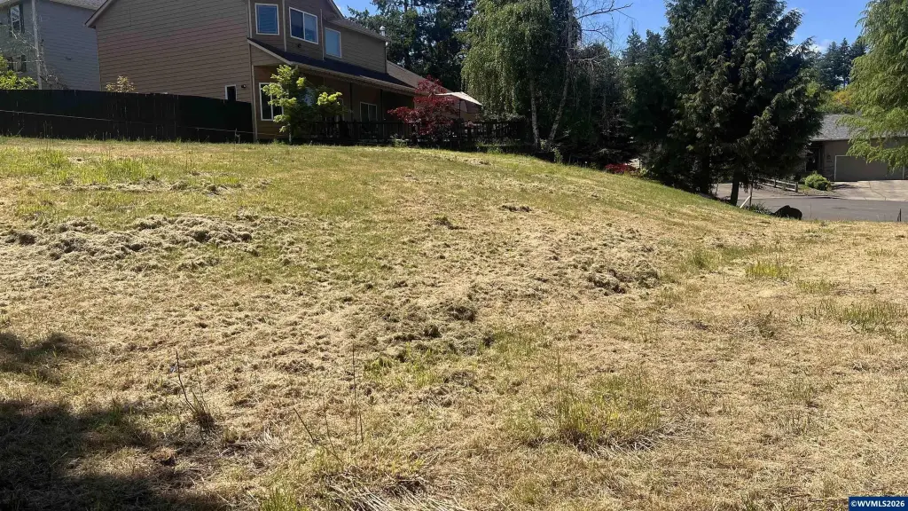 Picture 7