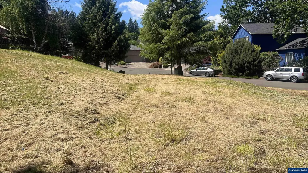 Picture 8