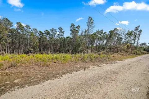 Wooded Residential Lot in Gulf Shores