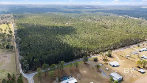 Spacious Land Near Alabama-Florida Line