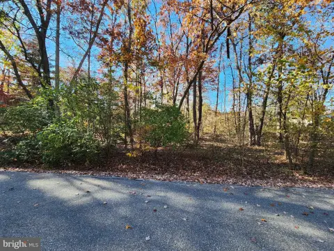 Wooded Lot in Lake Meade