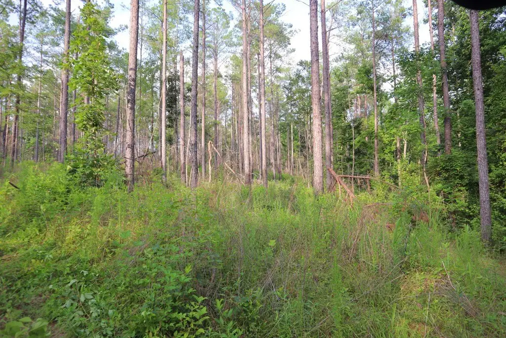 Picture 25