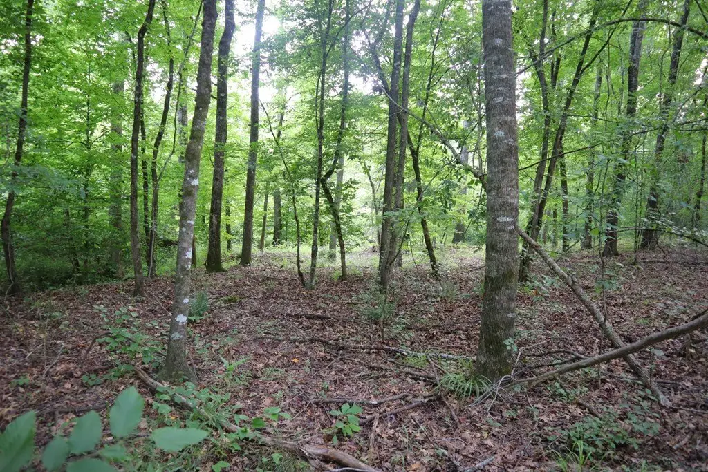 Picture 23