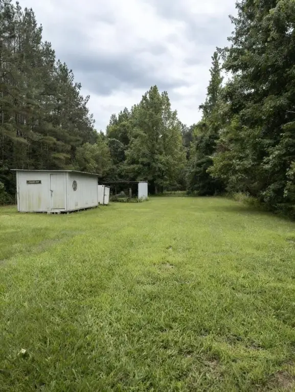 Picture 4