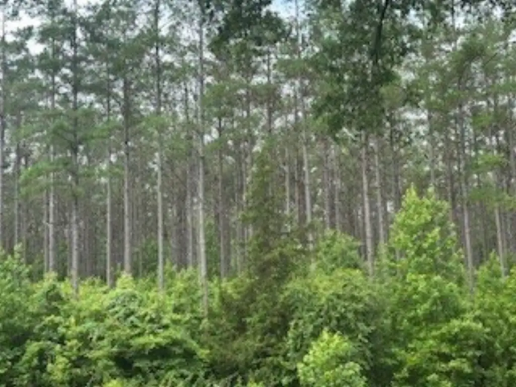 Picture 22
