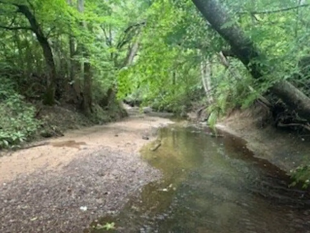 Picture 24