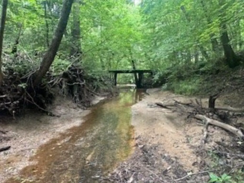 Picture 25