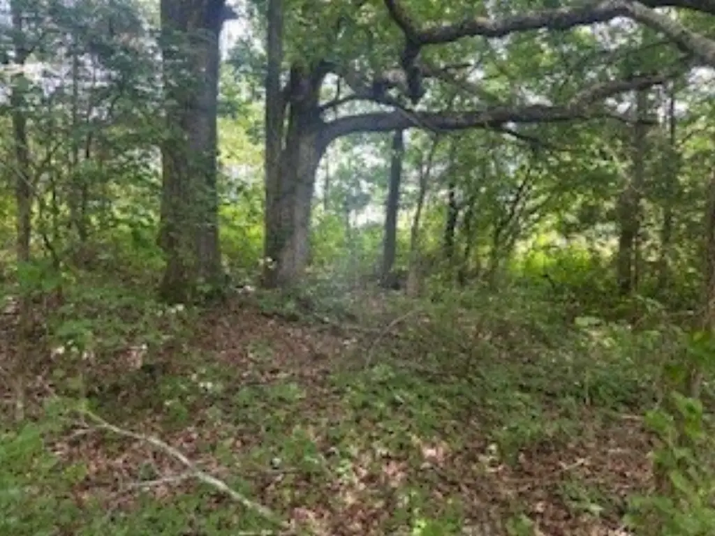 Picture 21
