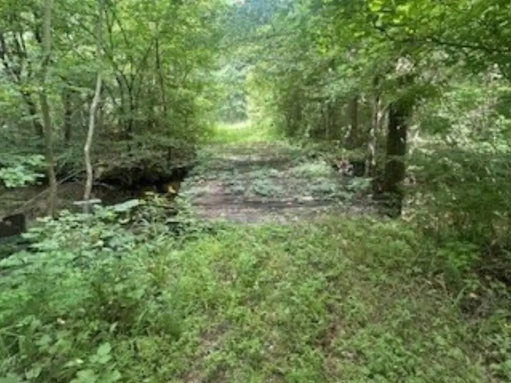 Picture 33