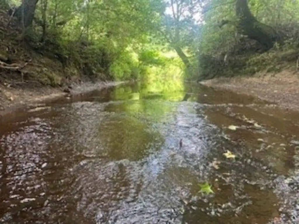 Picture 2