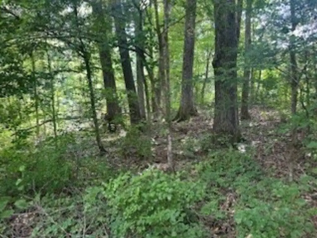 Picture 20